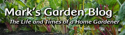 Mark's garden - Available for delivery Monday, Wednesday and Friday. For same day delivery inquiry please contact the store at 818-906-1718. PICK UPS: 13838 Ventura Blvd, Sherman Oaks, CA, 91423. Please note: Same Day Picks ups are only available by calling the store directly to place your order. Thank you.